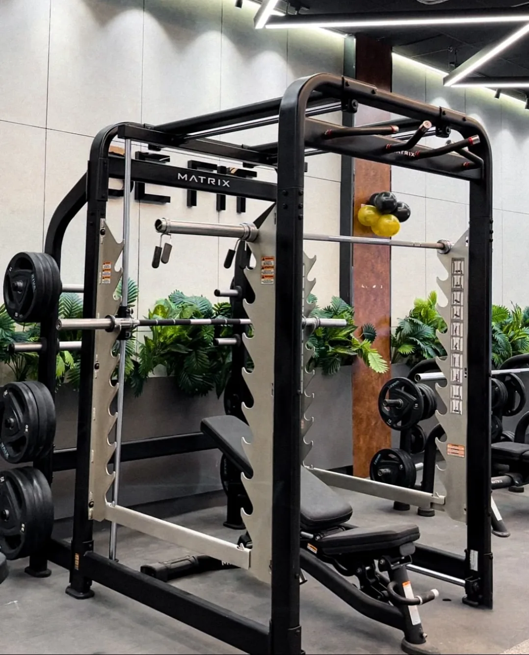 Squat Racks & Smith Machines