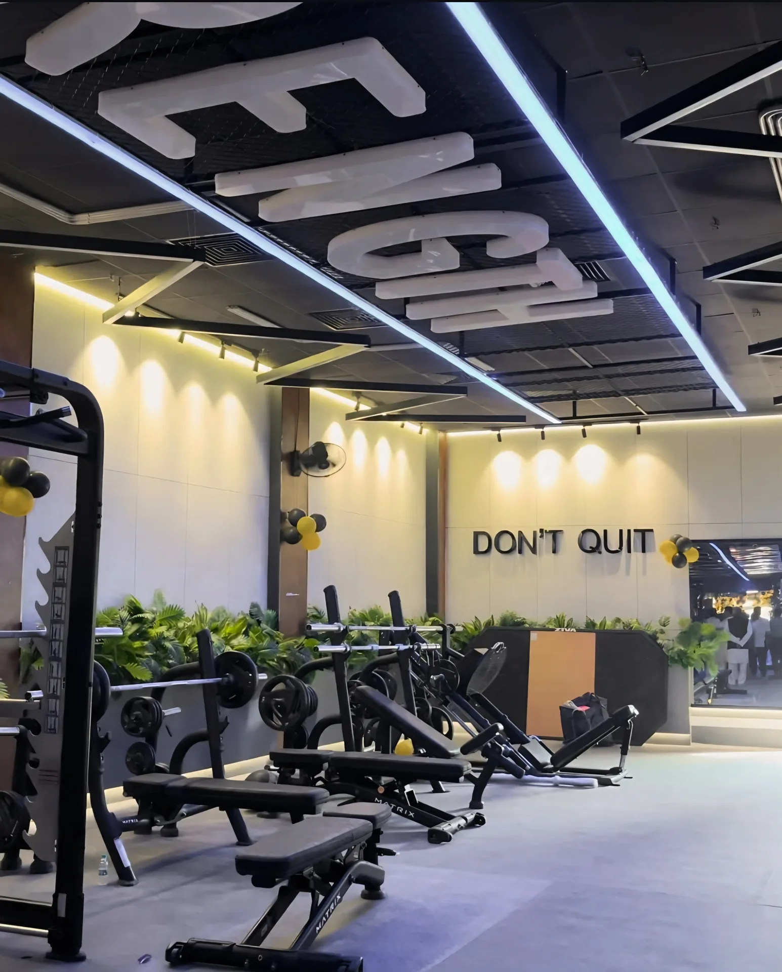 Free Weights & Bench Area